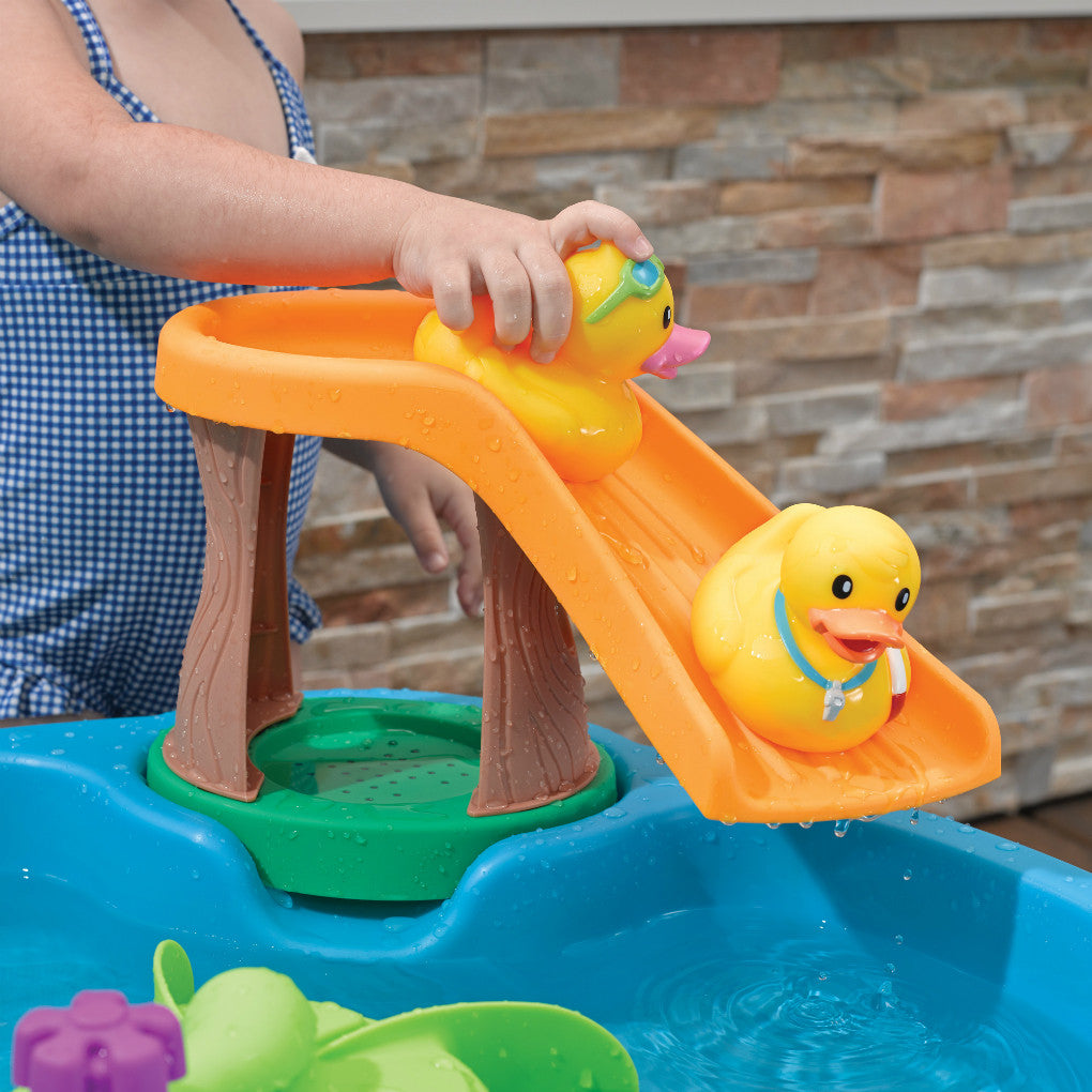 Mesa de Agua Estanque de Patos